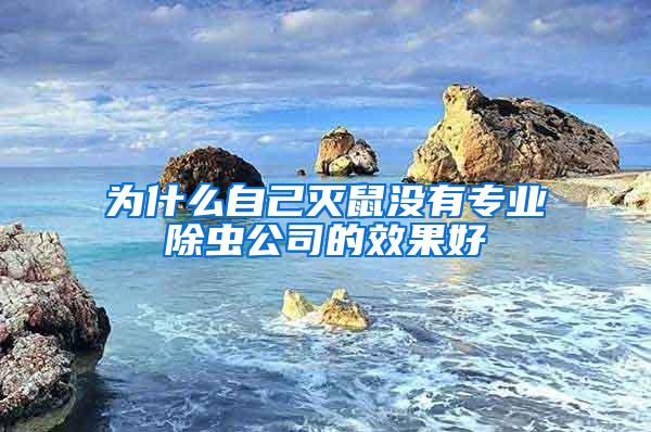 為什么自己滅鼠沒有專業(yè)除蟲公司的效果好