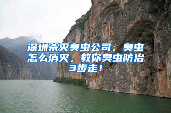 深圳殺滅臭蟲公司：臭蟲怎么消滅，教你臭蟲防治3步走！