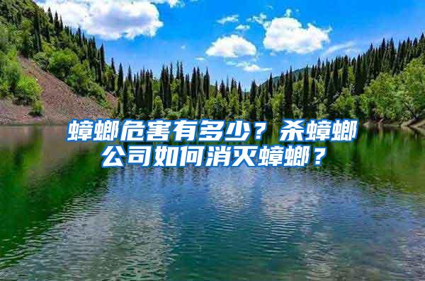 蟑螂危害有多少？殺蟑螂公司如何消滅蟑螂？