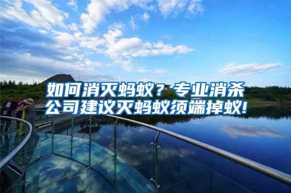 如何消滅螞蟻？專業(yè)消殺公司建議滅螞蟻?lái)毝说粝?