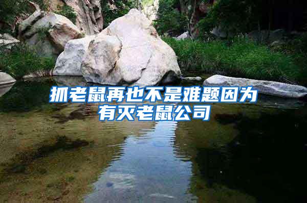 抓老鼠再也不是難題因?yàn)橛袦缋鲜蠊?/></p>
             <p style=