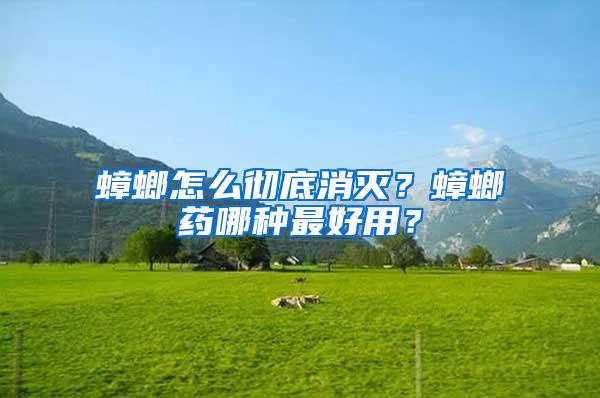 蟑螂怎么徹底消滅？蟑螂藥哪種最好用？