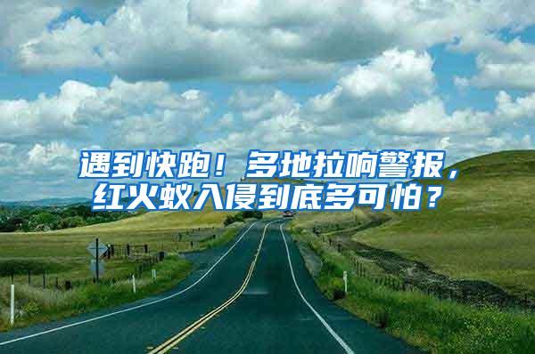 遇到快跑！多地拉響警報，紅火蟻入侵到底多可怕？