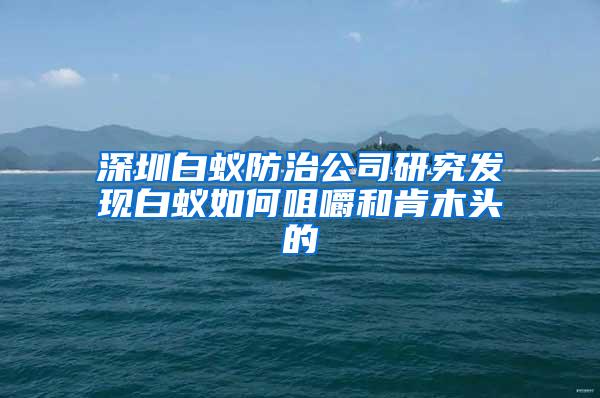 深圳白蟻防治公司研究發(fā)現(xiàn)白蟻如何咀嚼和肯木頭的