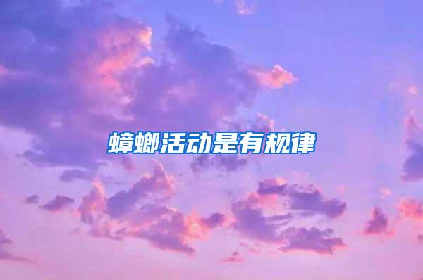 蟑螂活動是有規(guī)律