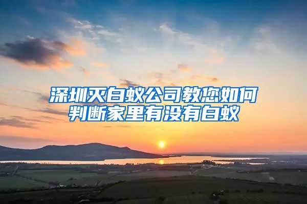 深圳滅白蟻公司教您如何判斷家里有沒有白蟻