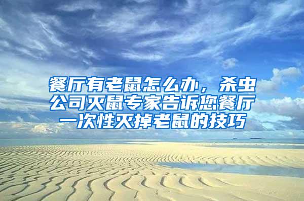 餐廳有老鼠怎么辦，殺蟲公司滅鼠專家告訴您餐廳一次性滅掉老鼠的技巧