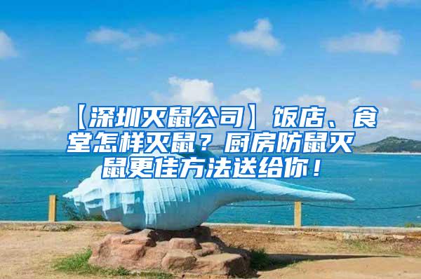 【深圳滅鼠公司】飯店、食堂怎樣滅鼠？廚房防鼠滅鼠更佳方法送給你！