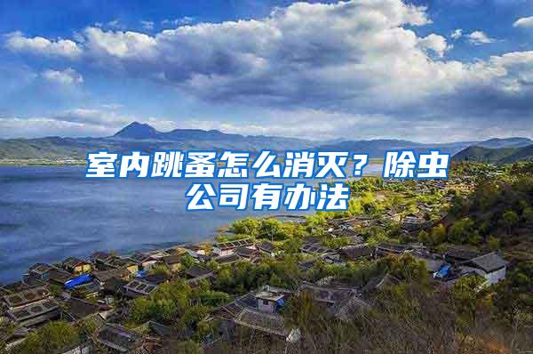 室內(nèi)跳蚤怎么消滅？除蟲(chóng)公司有辦法