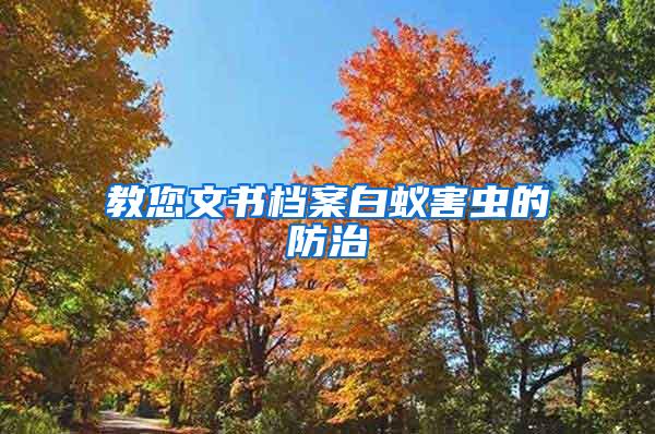 教您文書檔案白蟻害蟲的防治