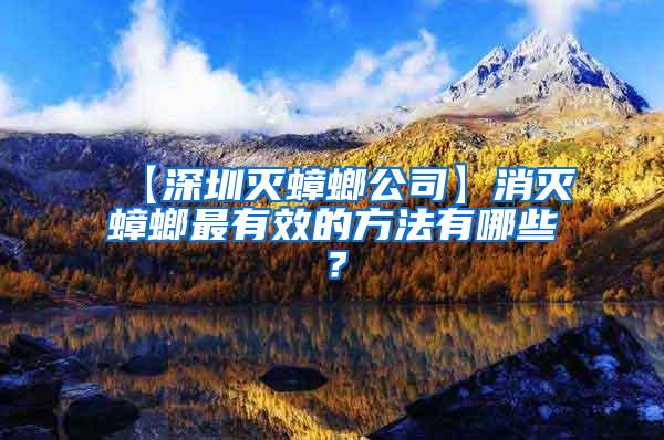 【深圳滅蟑螂公司】消滅蟑螂最有效的方法有哪些？