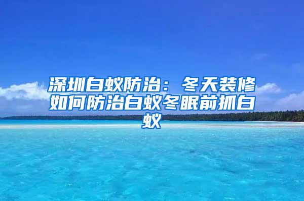 深圳白蟻防治：冬天裝修如何防治白蟻冬眠前抓白蟻