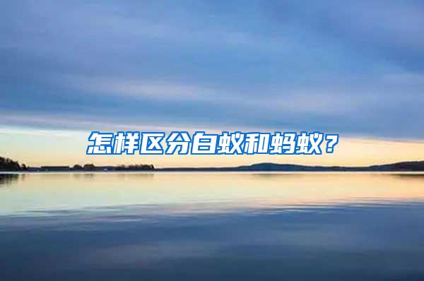 怎樣區(qū)分白蟻和螞蟻？