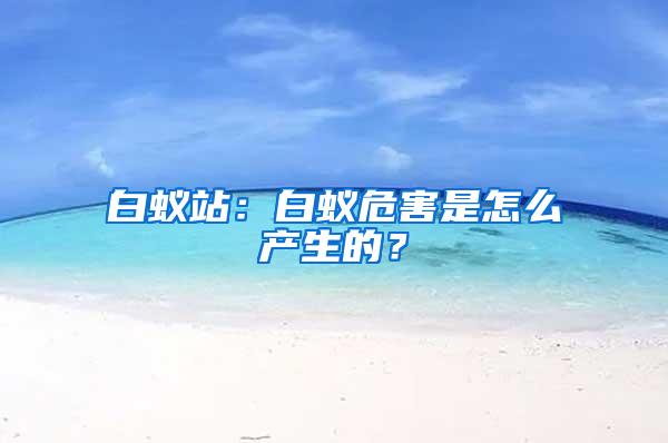 白蟻站：白蟻危害是怎么產(chǎn)生的？