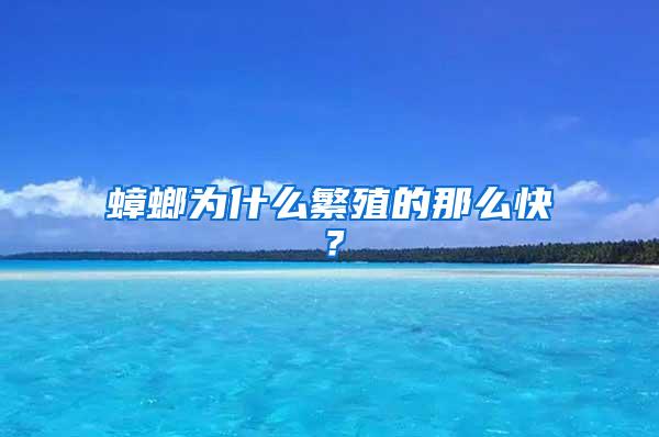 蟑螂為什么繁殖的那么快？