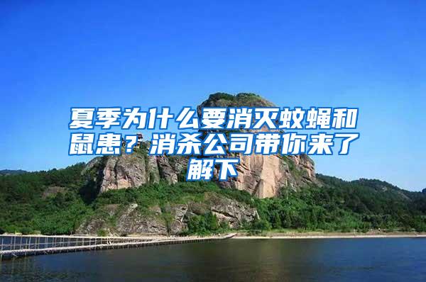 夏季為什么要消滅蚊蠅和鼠患？消殺公司帶你來了解下