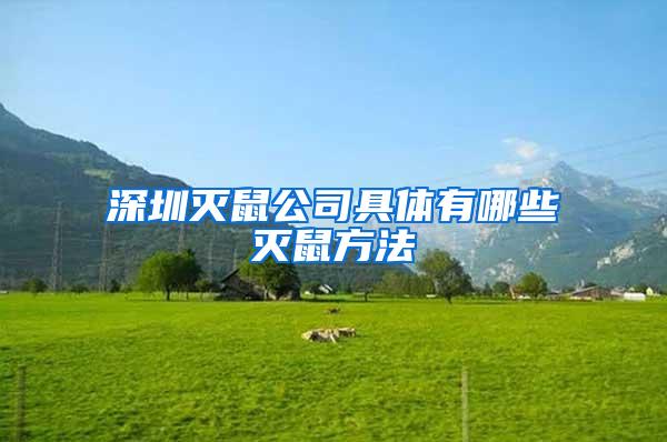 深圳滅鼠公司具體有哪些滅鼠方法