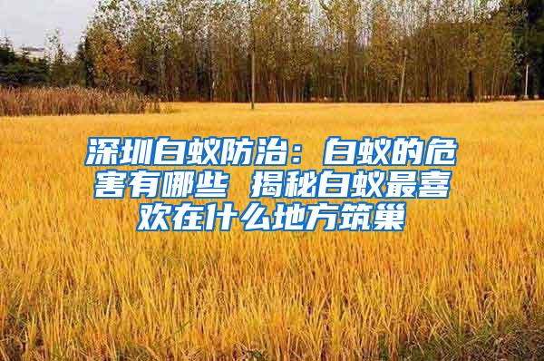 深圳白蟻防治：白蟻的危害有哪些 揭秘白蟻?zhàn)钕矚g在什么地方筑巢