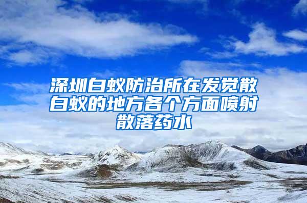 深圳白蟻防治所在發(fā)覺(jué)散白蟻的地方各個(gè)方面噴射散落藥水