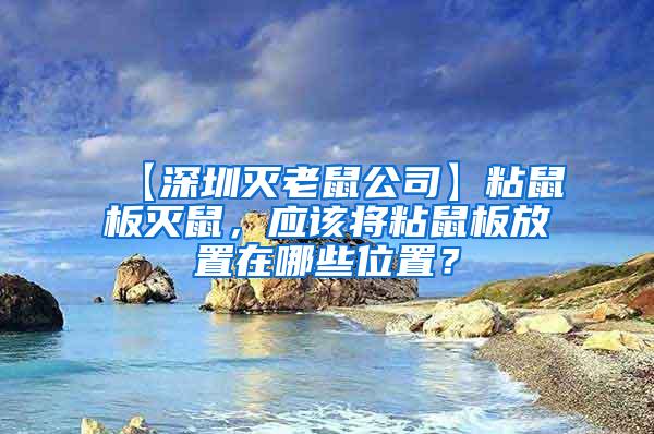 【深圳滅老鼠公司】粘鼠板滅鼠，應(yīng)該將粘鼠板放置在哪些位置？