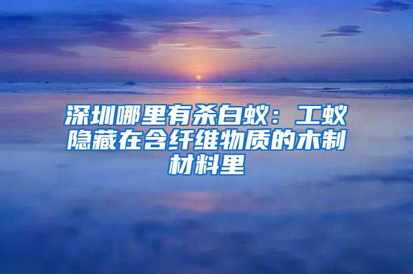 深圳哪里有殺白蟻：工蟻隱藏在含纖維物質(zhì)的木制材料里