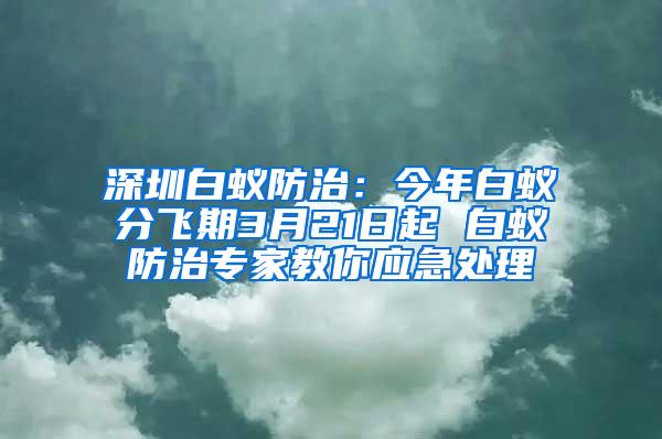 深圳白蟻防治：今年白蟻分飛期3月21日起 白蟻防治專家教你應(yīng)急處理