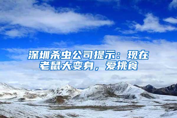 深圳殺蟲公司提示：現(xiàn)在老鼠大變身，愛挑食