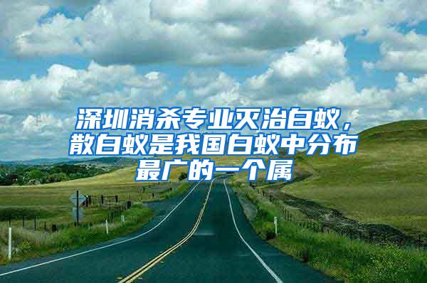 深圳消殺專業(yè)滅治白蟻，散白蟻是我國白蟻中分布最廣的一個屬