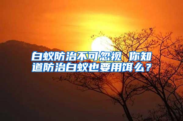 白蟻防治不可忽視 你知道防治白蟻也要用餌么？