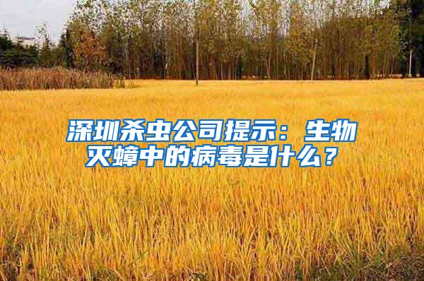 深圳殺蟲公司提示：生物滅蟑中的病毒是什么？