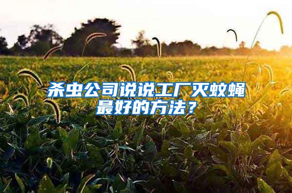 殺蟲公司說說工廠滅蚊蠅最好的方法？