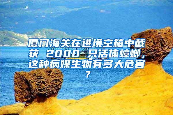 廈門海關(guān)在進(jìn)境空箱中截獲 2000 只活體蟑螂，這種病媒生物有多大危害？