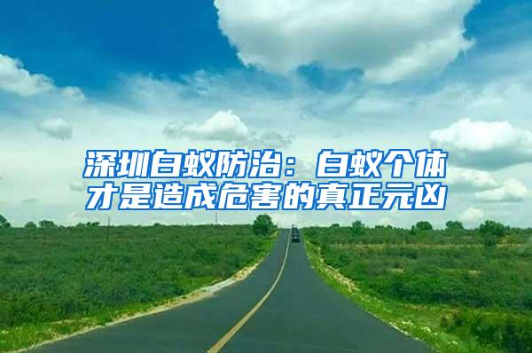 深圳白蟻防治：白蟻個(gè)體才是造成危害的真正元兇