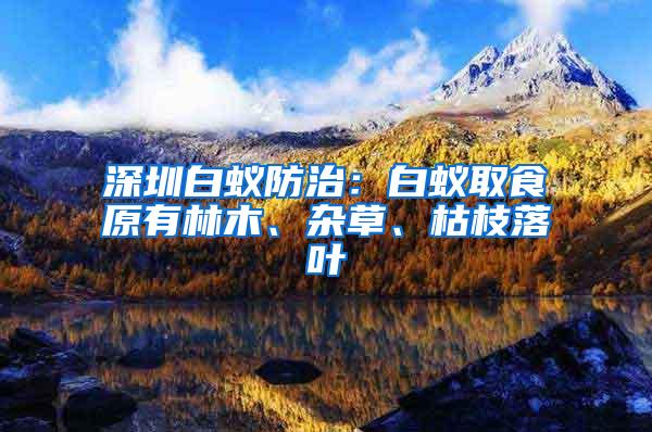 深圳白蟻防治：白蟻取食原有林木、雜草、枯枝落葉