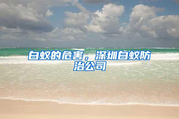 白蟻的危害，深圳白蟻防治公司