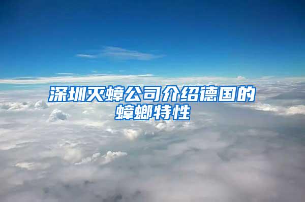 深圳滅蟑公司介紹德國的蟑螂特性