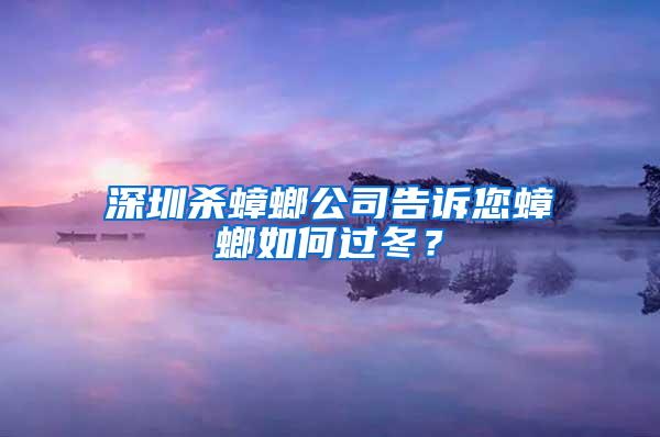 深圳殺蟑螂公司告訴您蟑螂如何過(guò)冬？