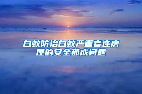 白蟻防治白蟻嚴(yán)重者連房屋的安全都成問題