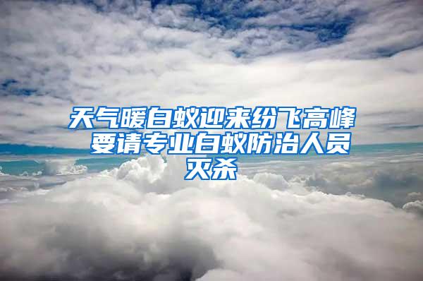 天氣暖白蟻迎來(lái)紛飛高峰 要請(qǐng)專業(yè)白蟻防治人員滅殺