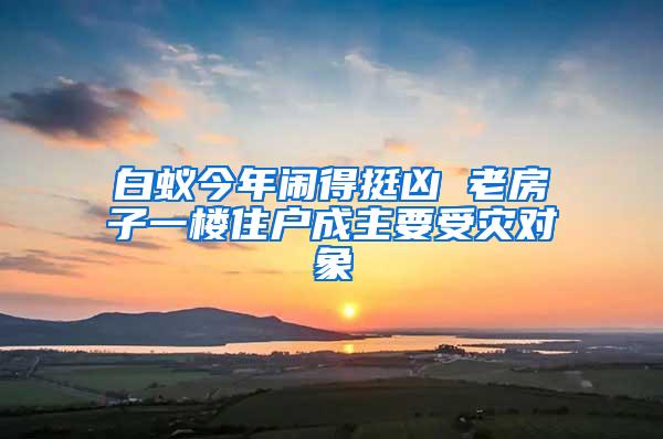 白蟻今年鬧得挺兇 老房子一樓住戶成主要受災(zāi)對象