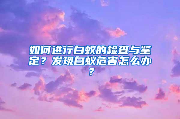 如何進行白蟻的檢查與鑒定？發(fā)現(xiàn)白蟻危害怎么辦？