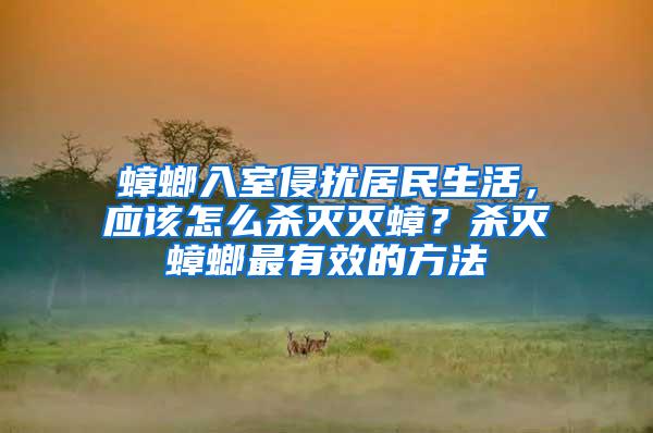 蟑螂入室侵?jǐn)_居民生活，應(yīng)該怎么殺滅滅蟑？殺滅蟑螂最有效的方法