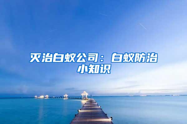 滅治白蟻公司：白蟻防治小知識