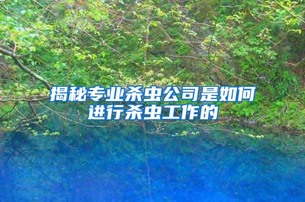 揭秘專業(yè)殺蟲公司是如何進行殺蟲工作的