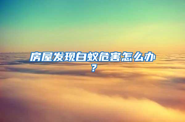 房屋發(fā)現(xiàn)白蟻危害怎么辦？