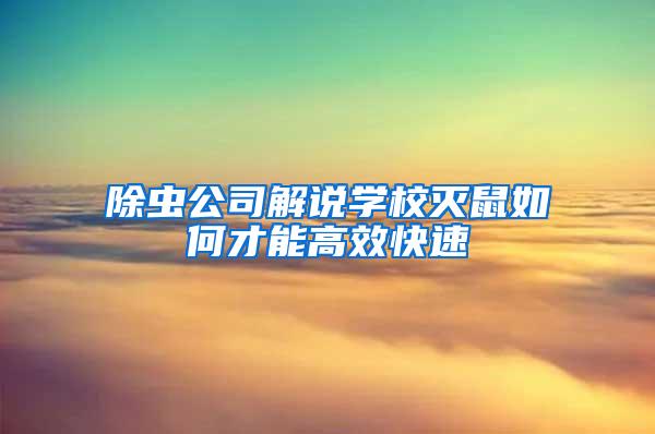 除蟲公司解說學(xué)校滅鼠如何才能高效快速