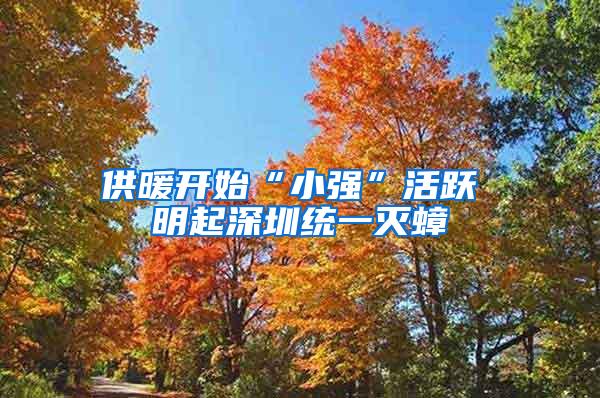 供暖開始“小強”活躍 明起深圳統(tǒng)一滅蟑