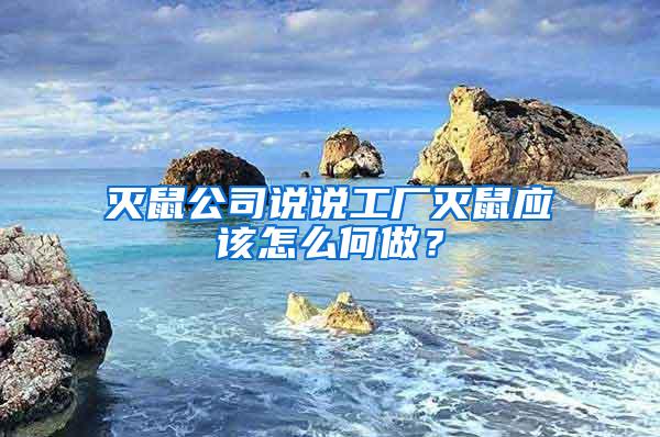 滅鼠公司說說工廠滅鼠應(yīng)該怎么何做？