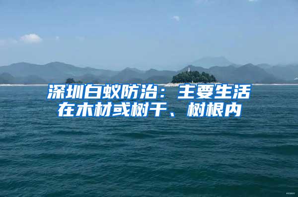 深圳白蟻防治：主要生活在木材或樹干、樹根內(nèi)