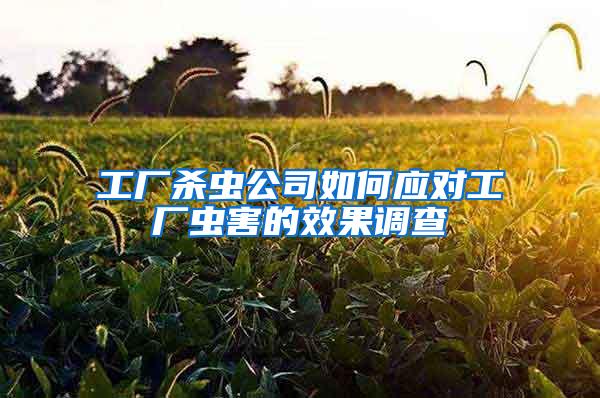 工廠殺蟲公司如何應(yīng)對工廠蟲害的效果調(diào)查